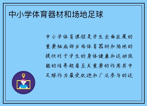 中小学体育器材和场地足球