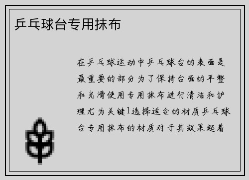 乒乓球台专用抹布